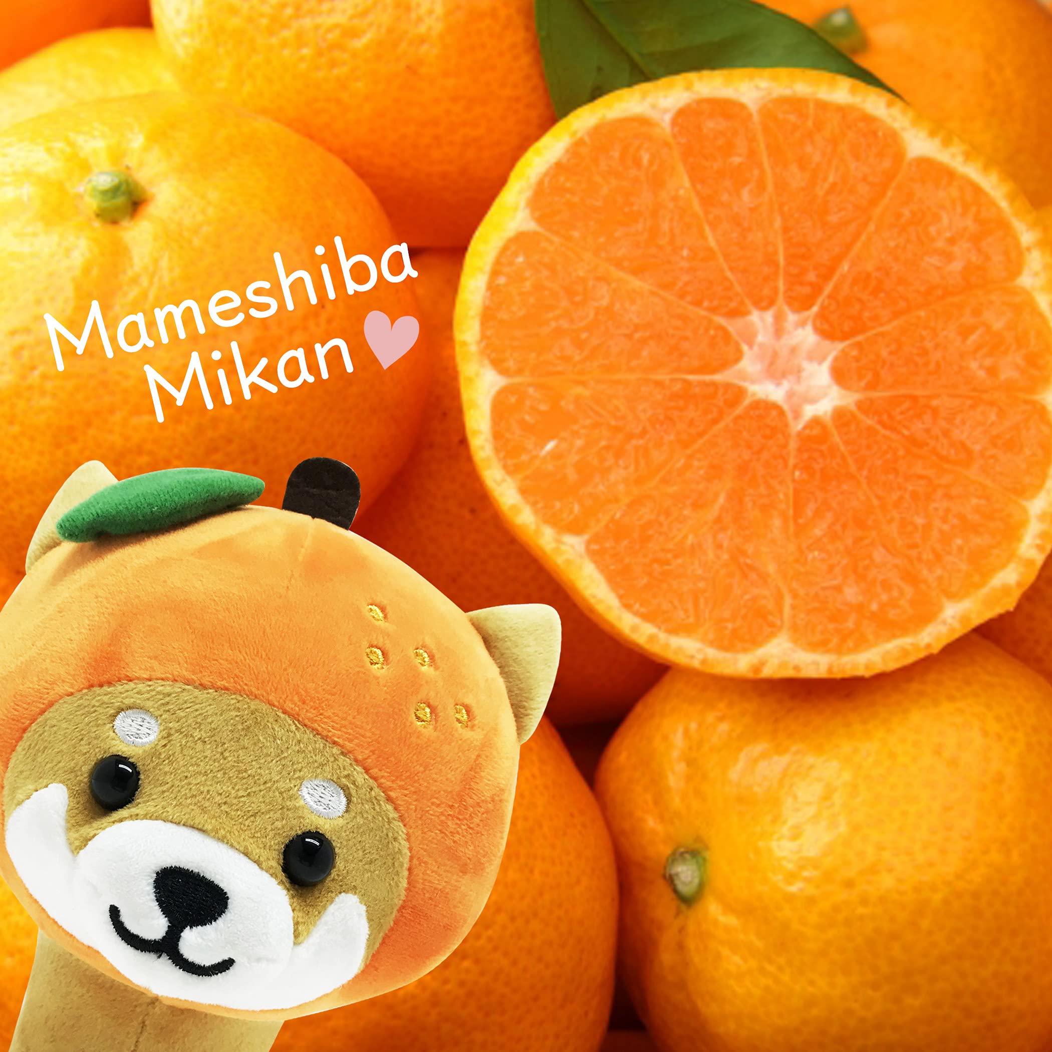 Amazon.co.jp: 旅するマメしば マスコット クッション かわいい
